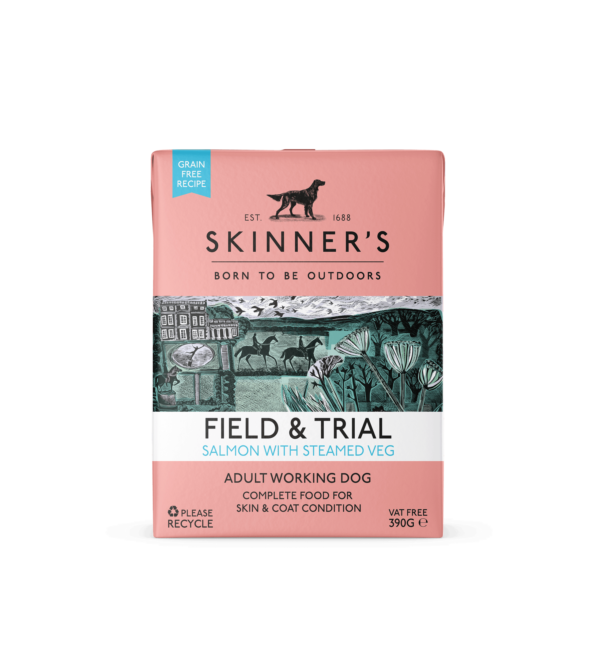 Skinners Field & Trial Adult Grain Free Salmon 18x390g