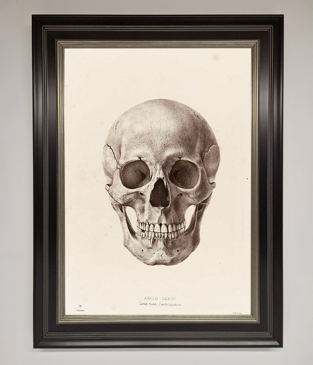 Skull Science Framed Poster