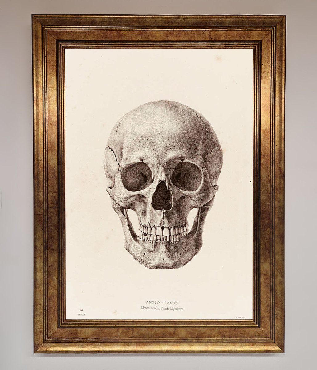 Skull Science Framed Poster