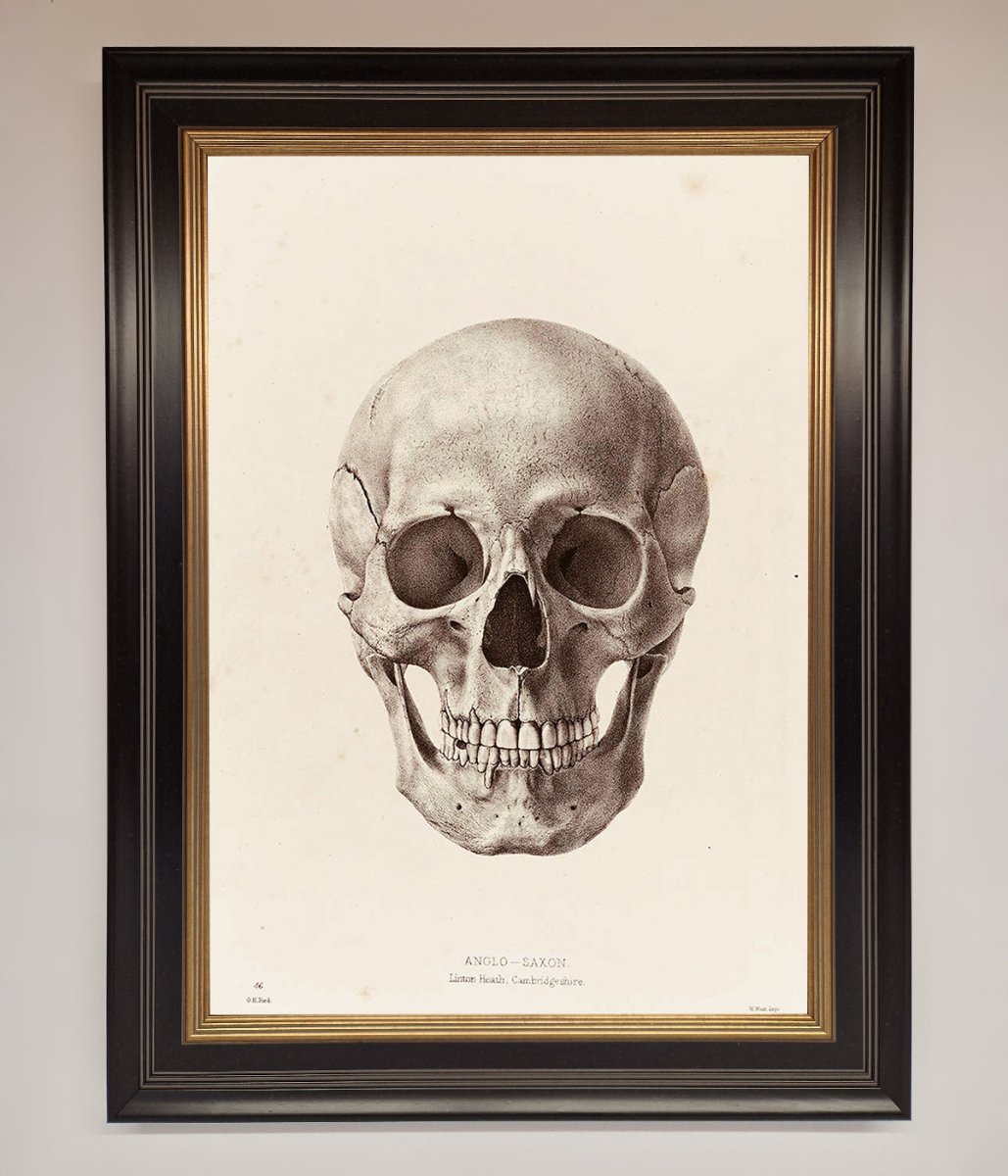 Skull Science Framed Poster