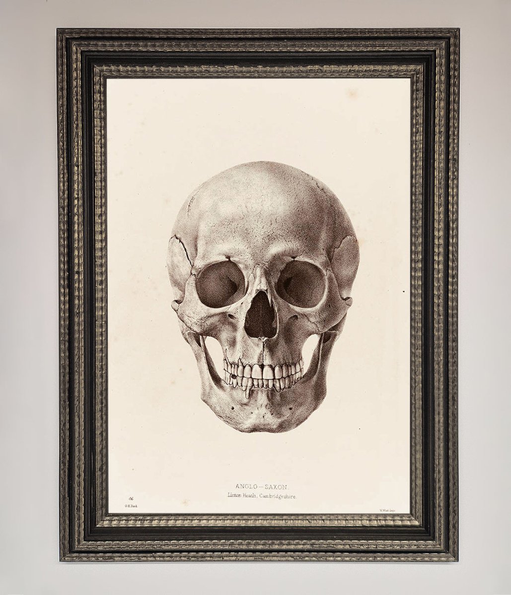 Skull Science Framed Poster