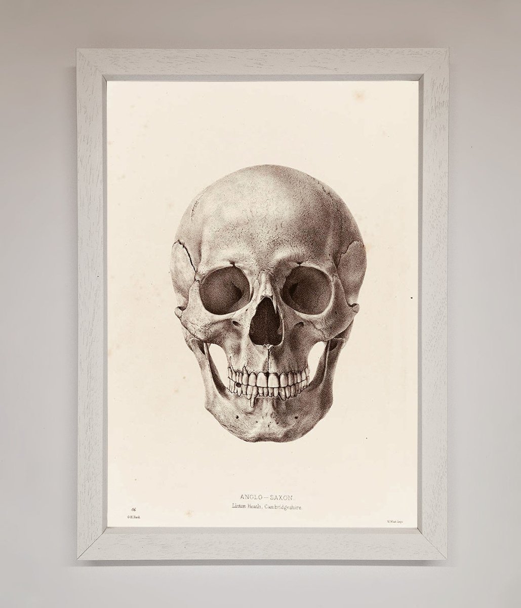 Skull Science Framed Poster