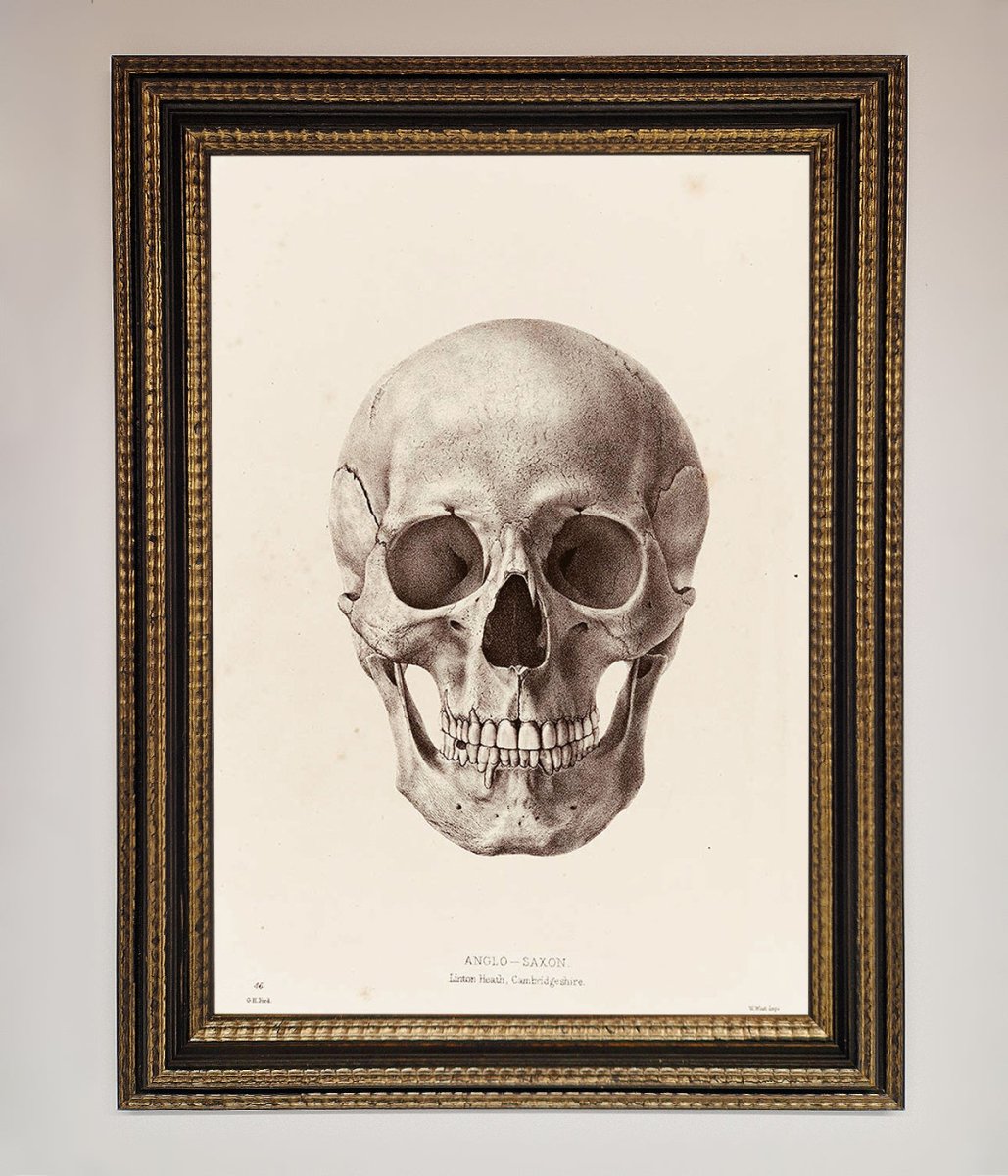 Skull Science Framed Poster