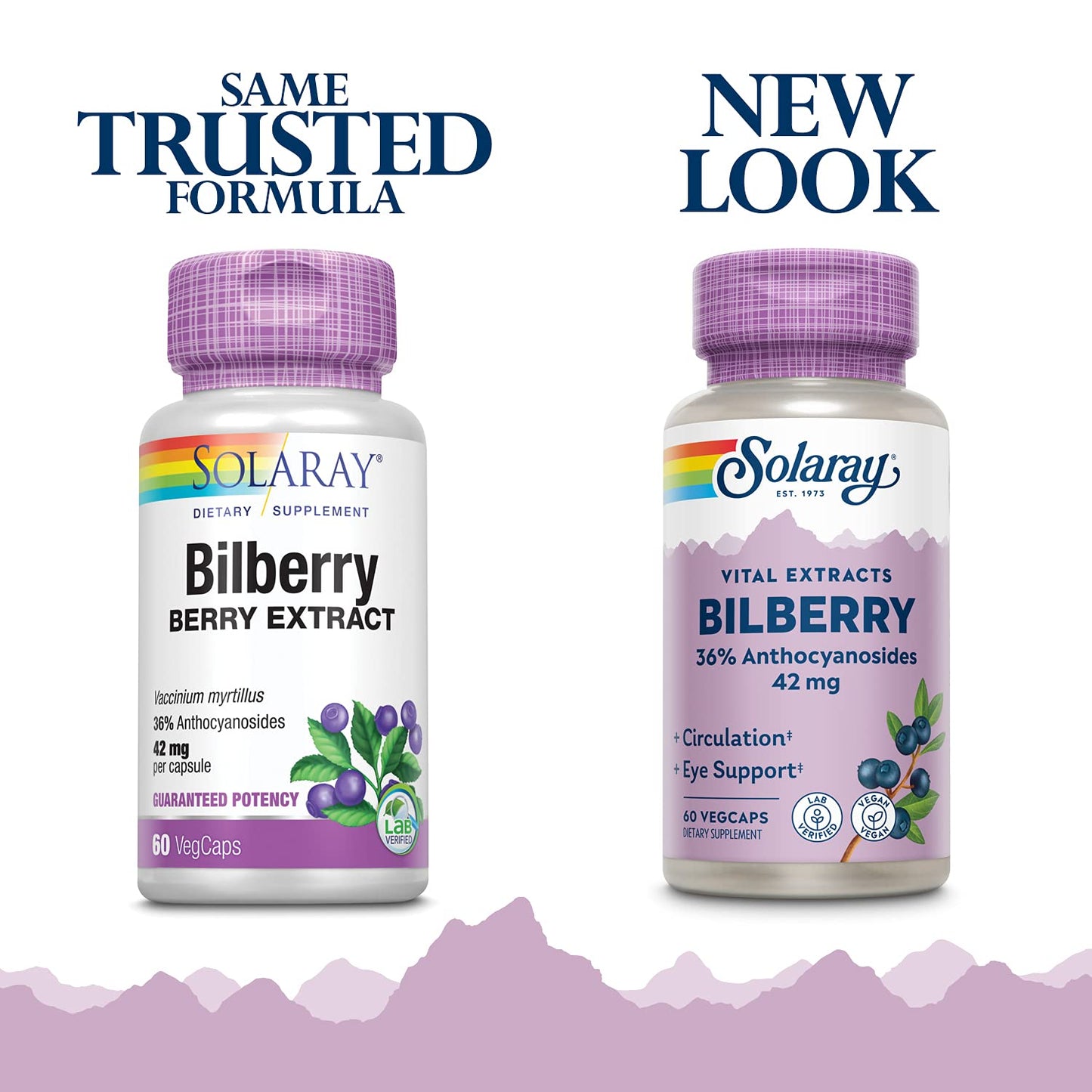 SOLARAY Bilberry Extract 42 mg – Eye Health & Circulation Support | 60 VegCaps