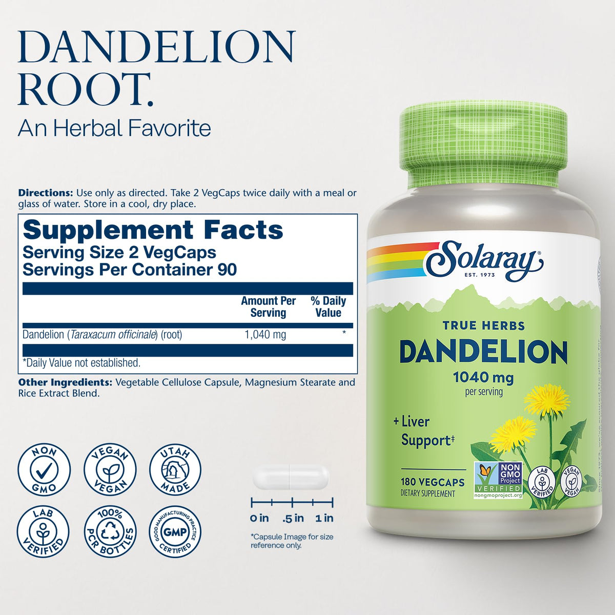 SOLARAY Dandelion Root Supplement – Kidney & Liver Support – 1,040 mg per Serving | Vegan, Lab Verified