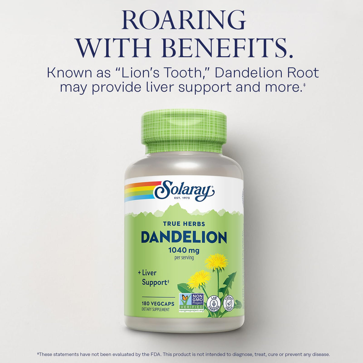 SOLARAY Dandelion Root Supplement – Kidney & Liver Support – 1,040 mg per Serving | Vegan, Lab Verified