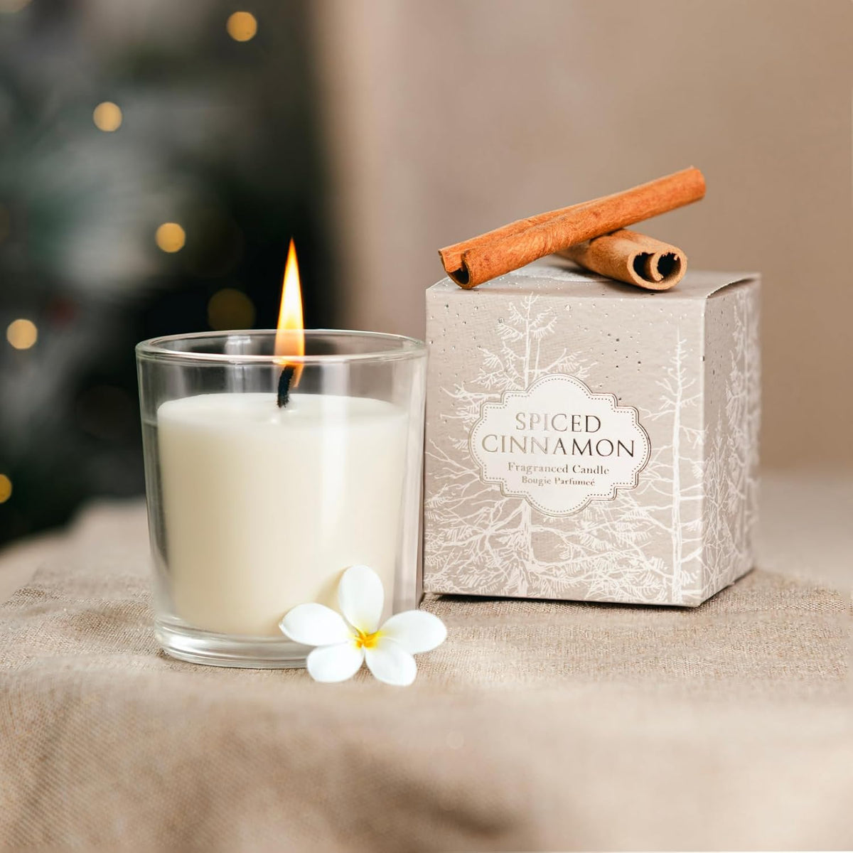 Spiced Cinnamon Scented Candle Gift Set in Decorative Glass Jars