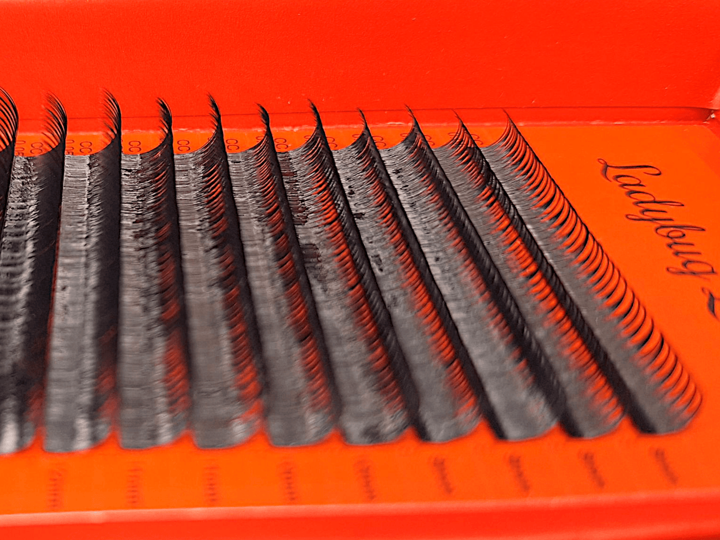 Wet Look Lash Mixed Tray