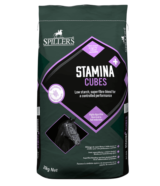 Spillers Stamina+ Cubes