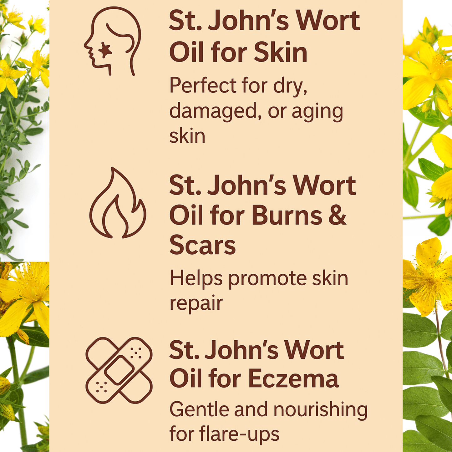 St John’s Wort Oil for Skin Nerve Pain Burns Eczema Scars – Herbal Oil UK Made