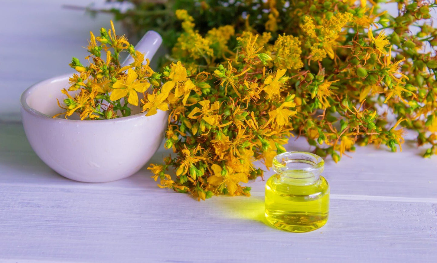 St John’s Wort Oil for Skin Nerve Pain Burns Eczema Scars – Herbal Oil UK Made