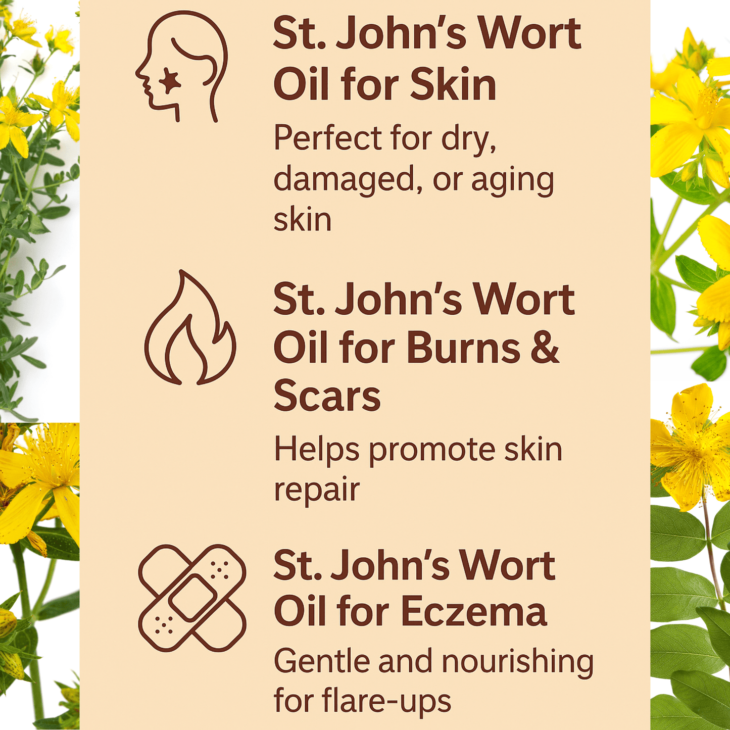 St. John’s Wort Oil – For Skin, Nerve Pain, Burns, Eczema, Scars