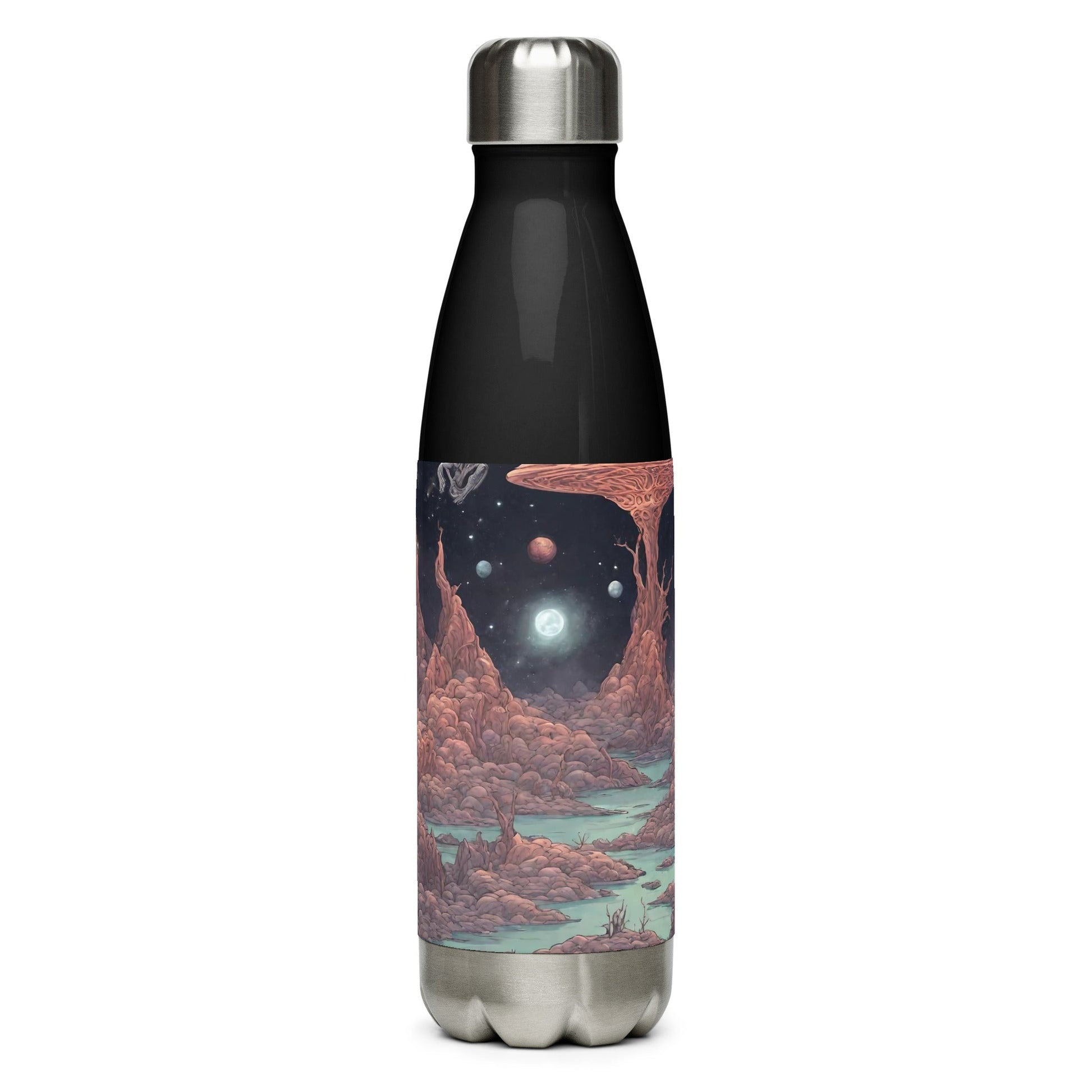 Stainless steel water bottle