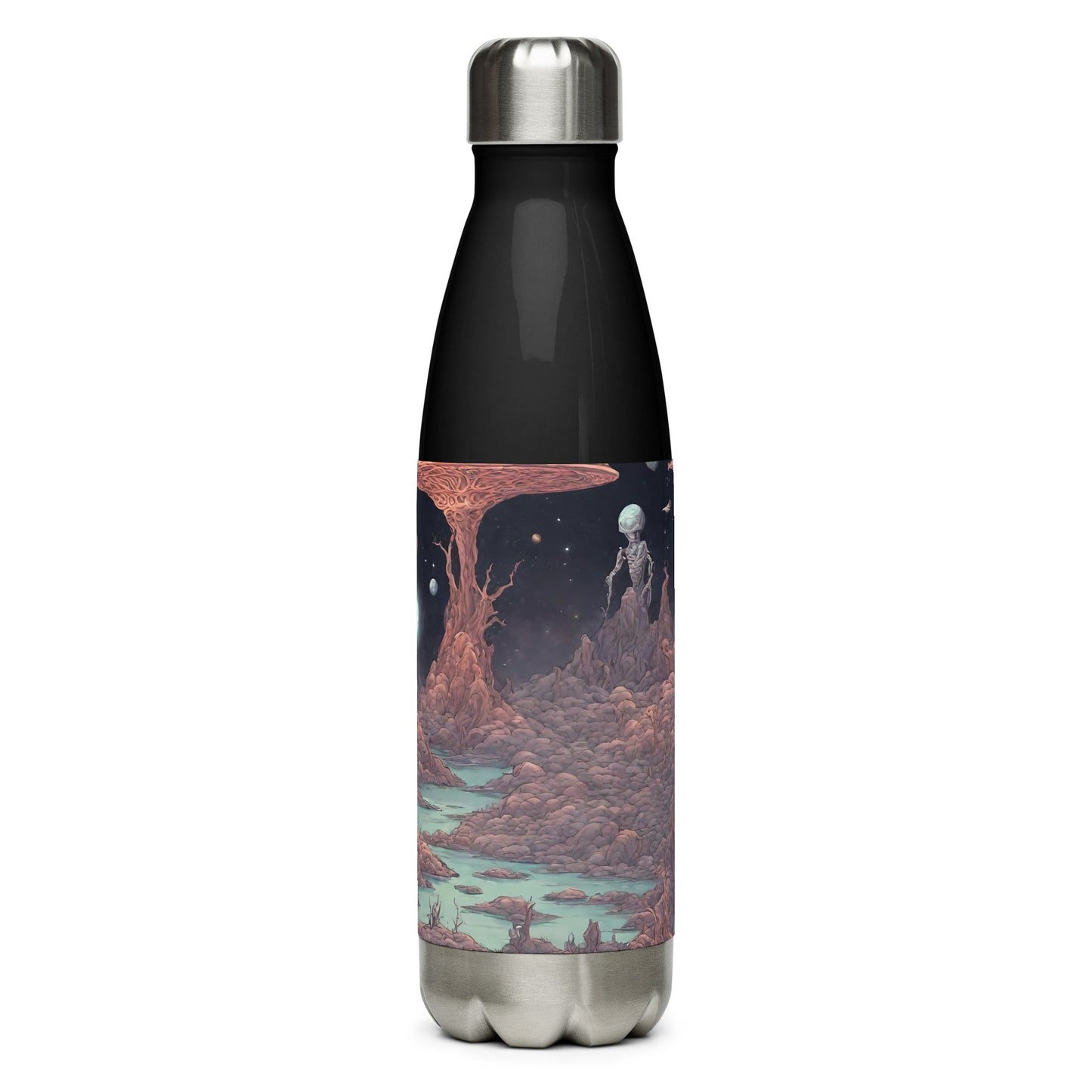 Stainless steel water bottle