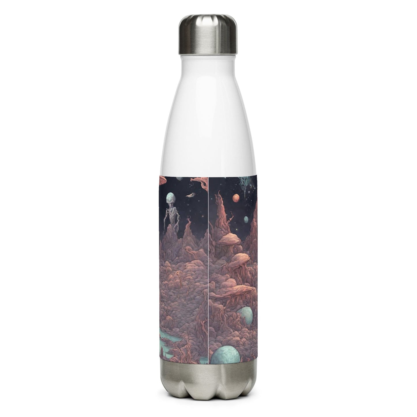 Stainless steel water bottle