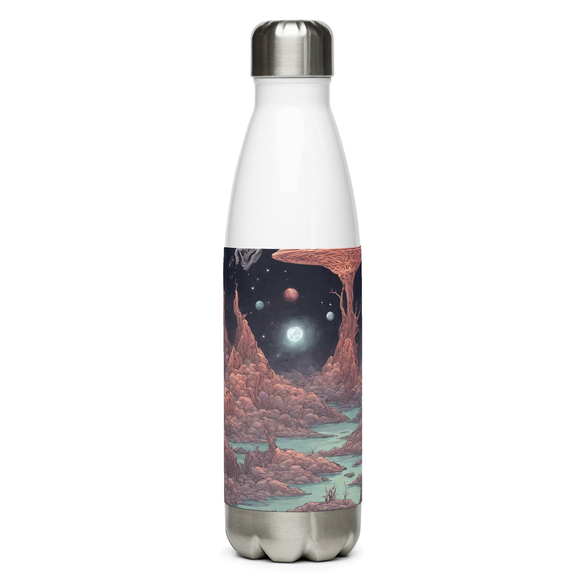 Stainless steel water bottle