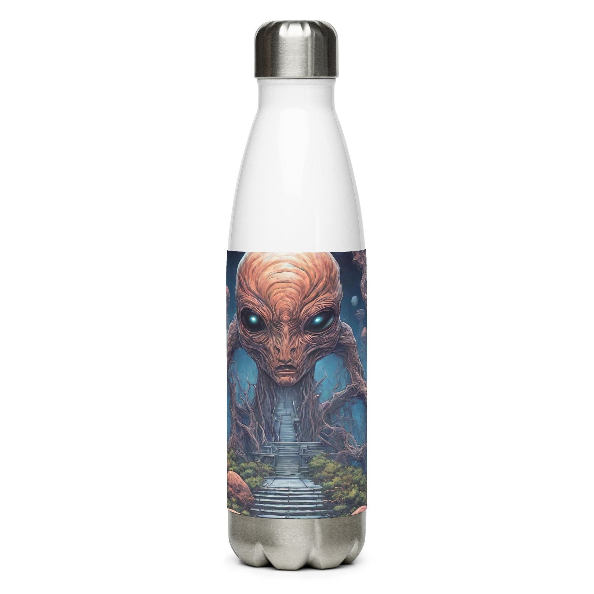 Stainless steel water bottle