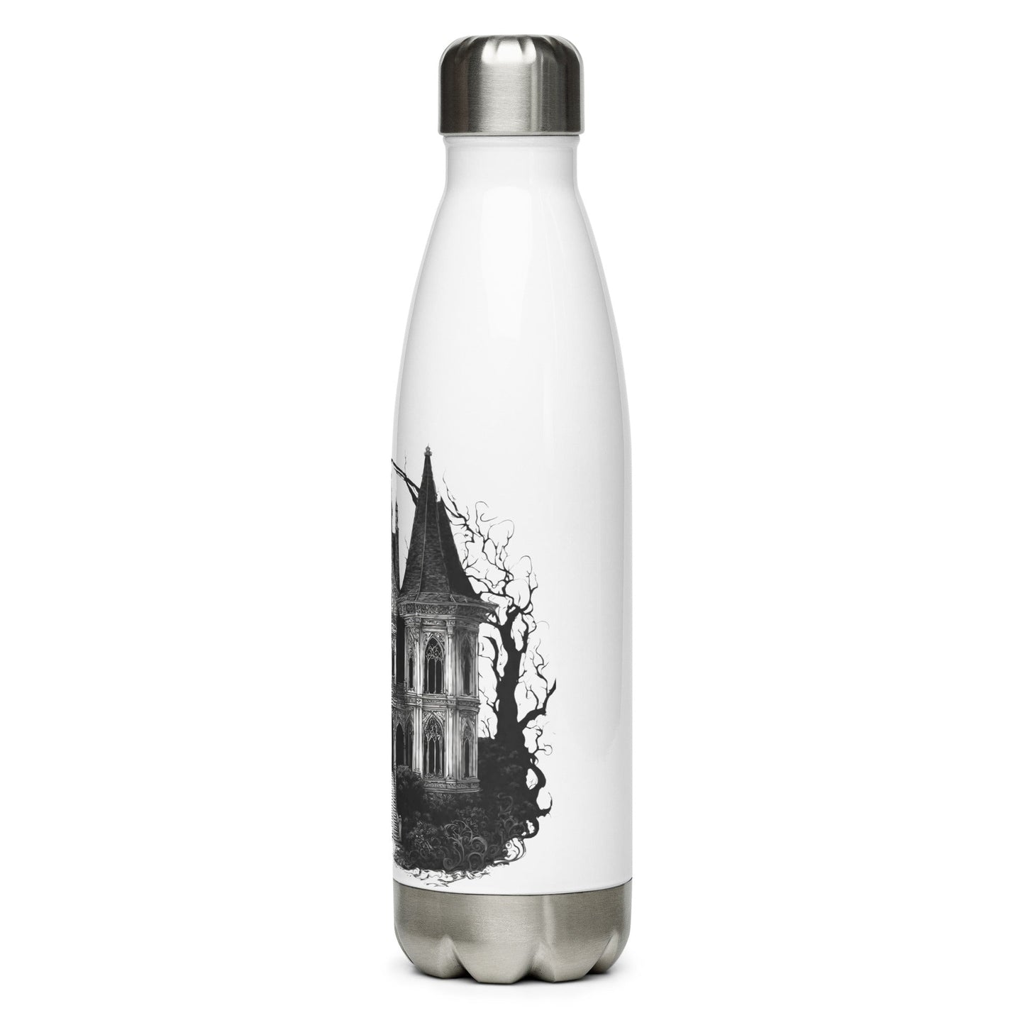 Stainless steel water bottle