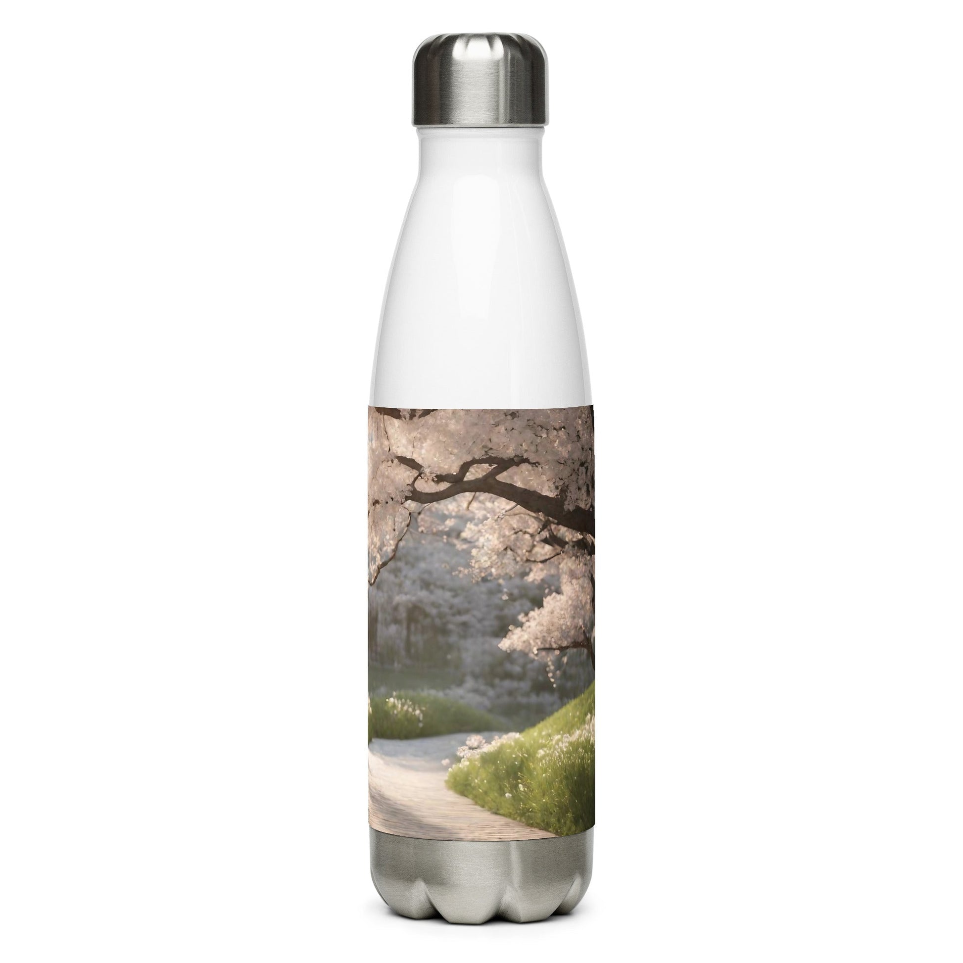 Stainless steel water bottle