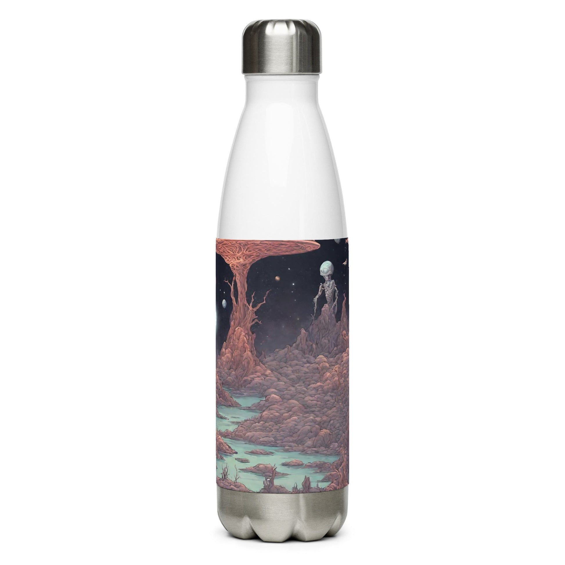 Stainless steel water bottle