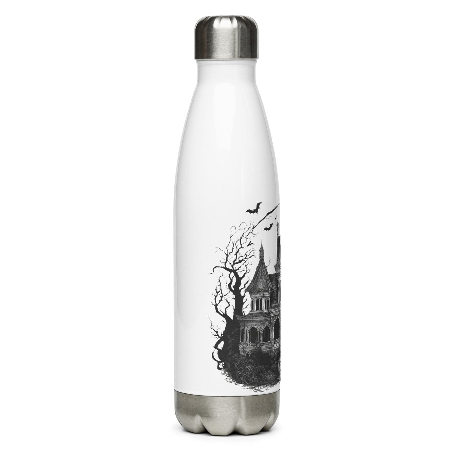 Stainless steel water bottle