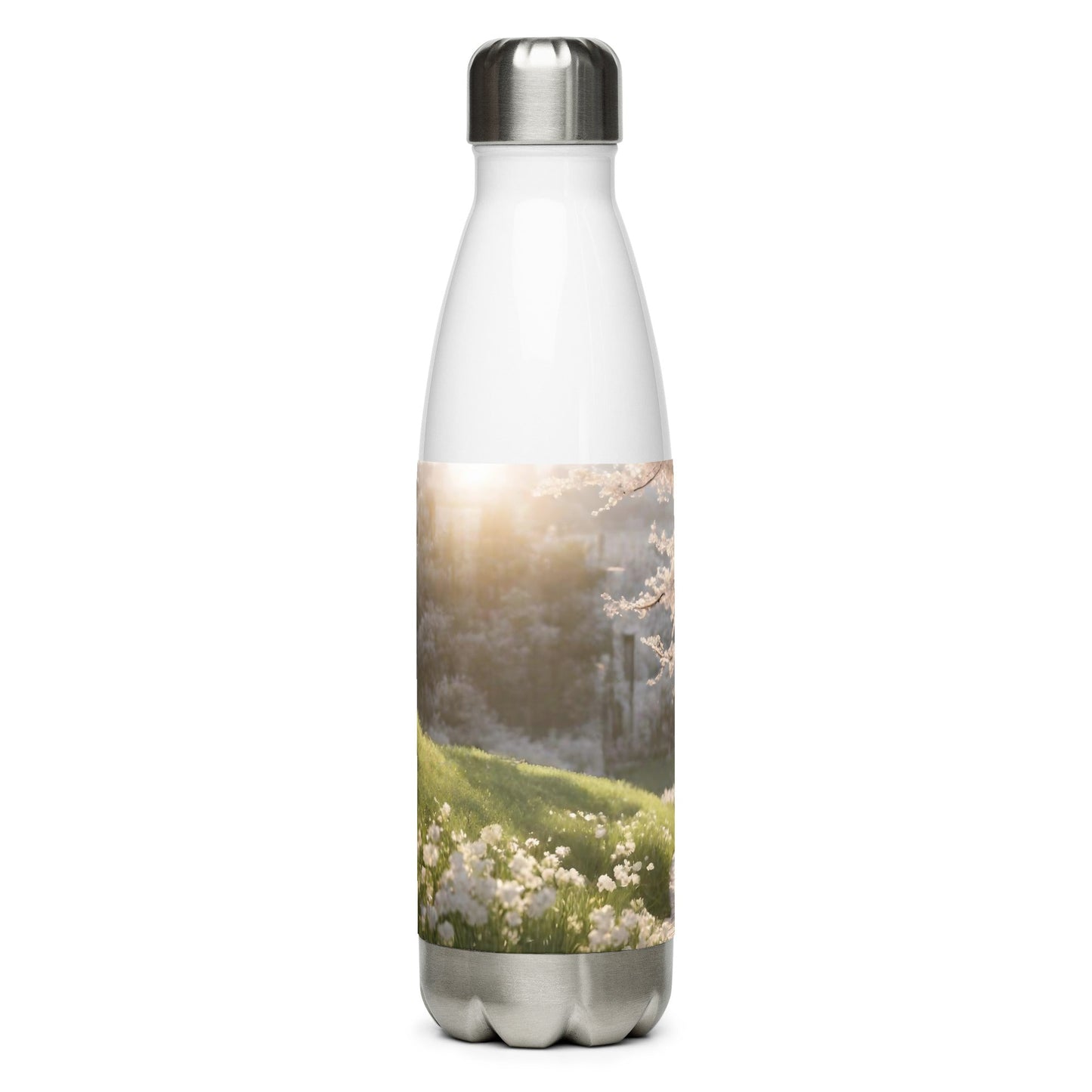 Stainless steel water bottle