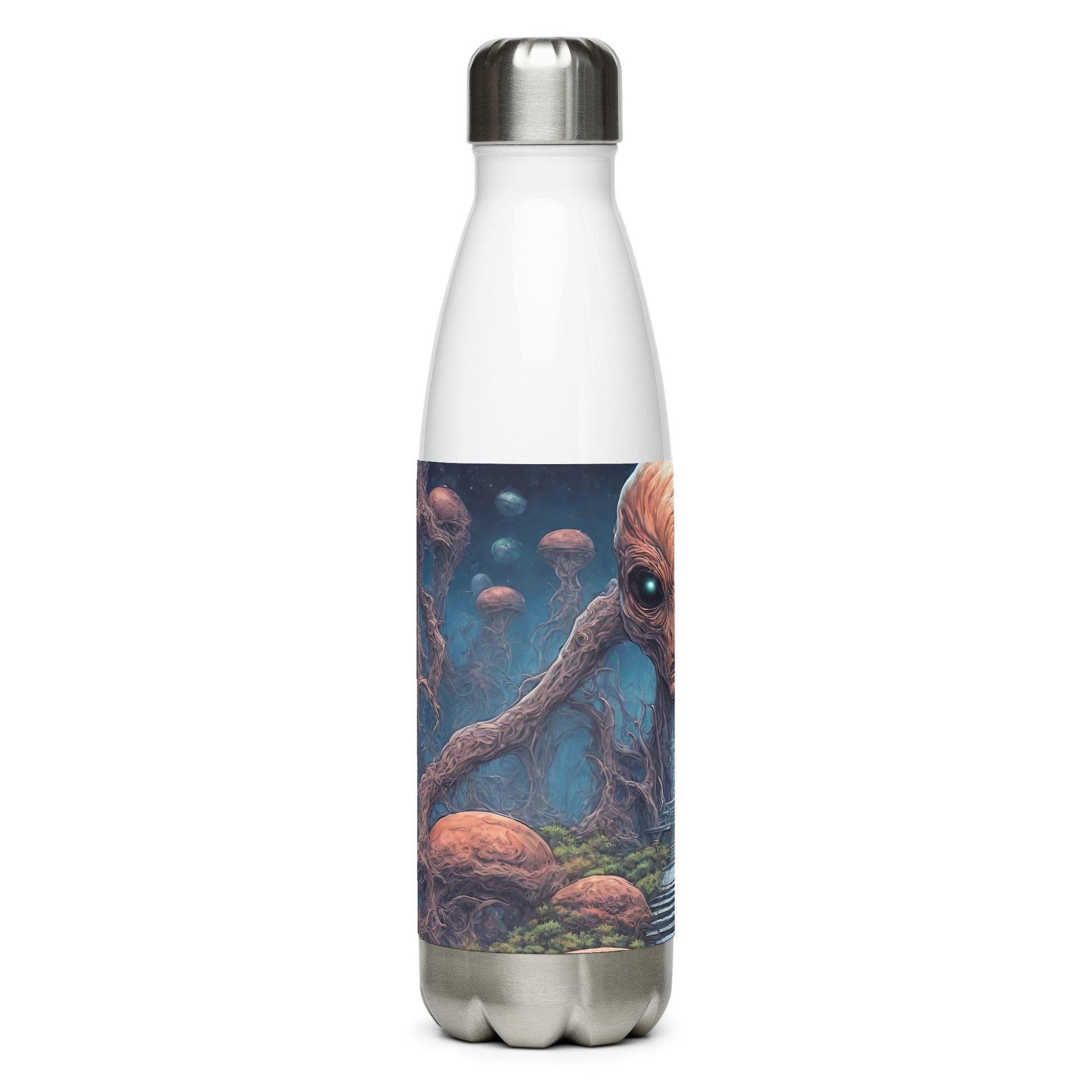 Stainless steel water bottle