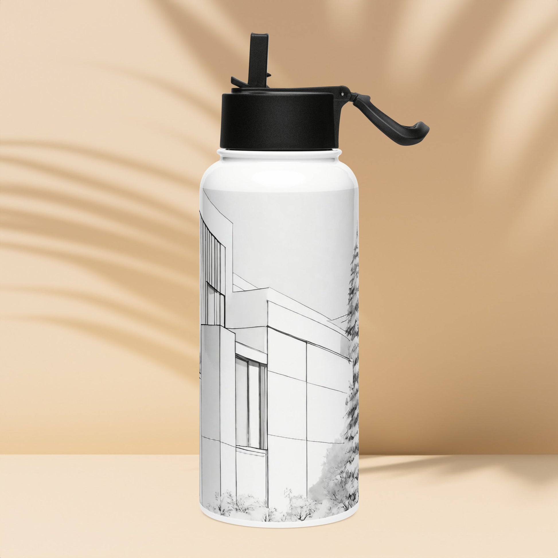 Stainless steel water bottle with a straw lid
