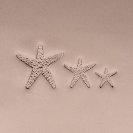 Starfish Stamp - Photo Textured - Style #1