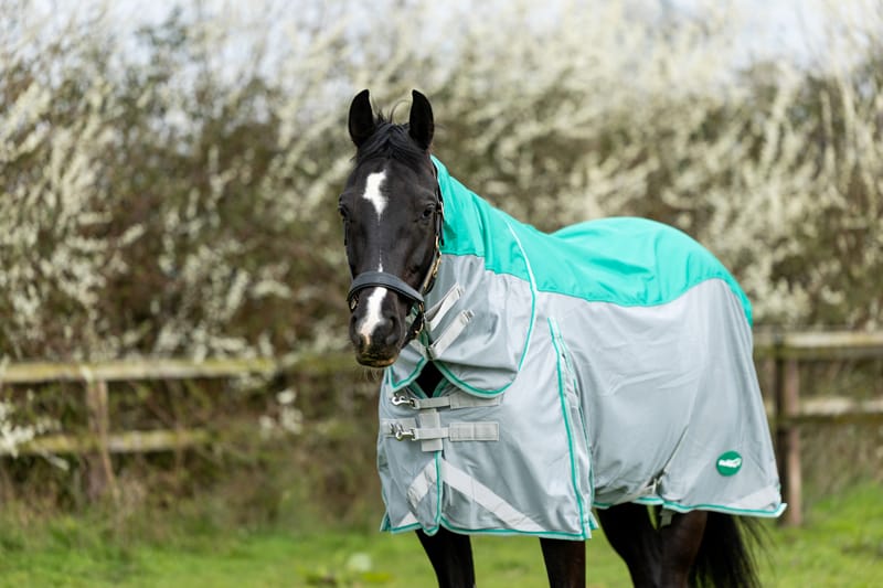 Fly Turnout Combination Rug (MESH) - Green