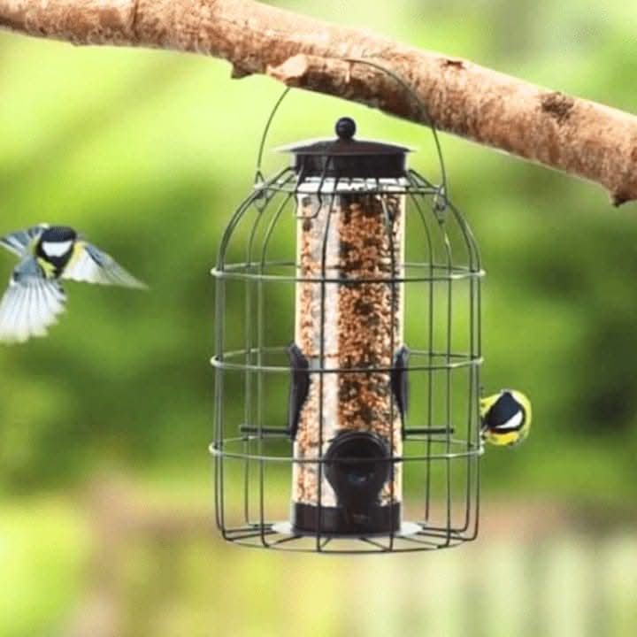 Caged Bird Seed Feeder Squirrel Guard Pastel Green 24cm