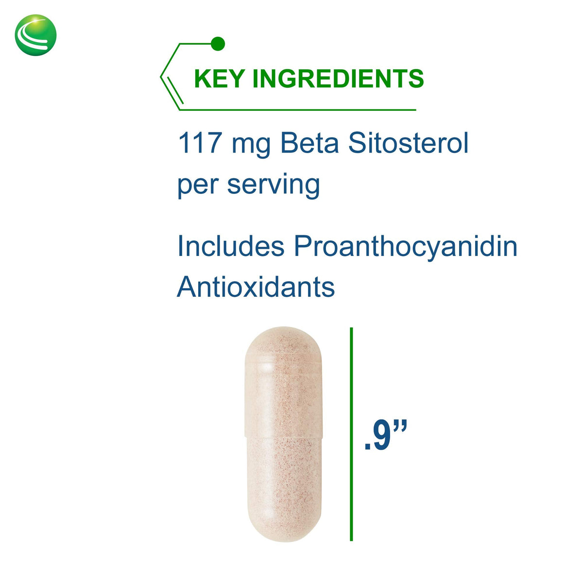 Nutra BioGenesis Sterol 117 | Plant Sterol Supplement | 60 Vegetarian Capsules