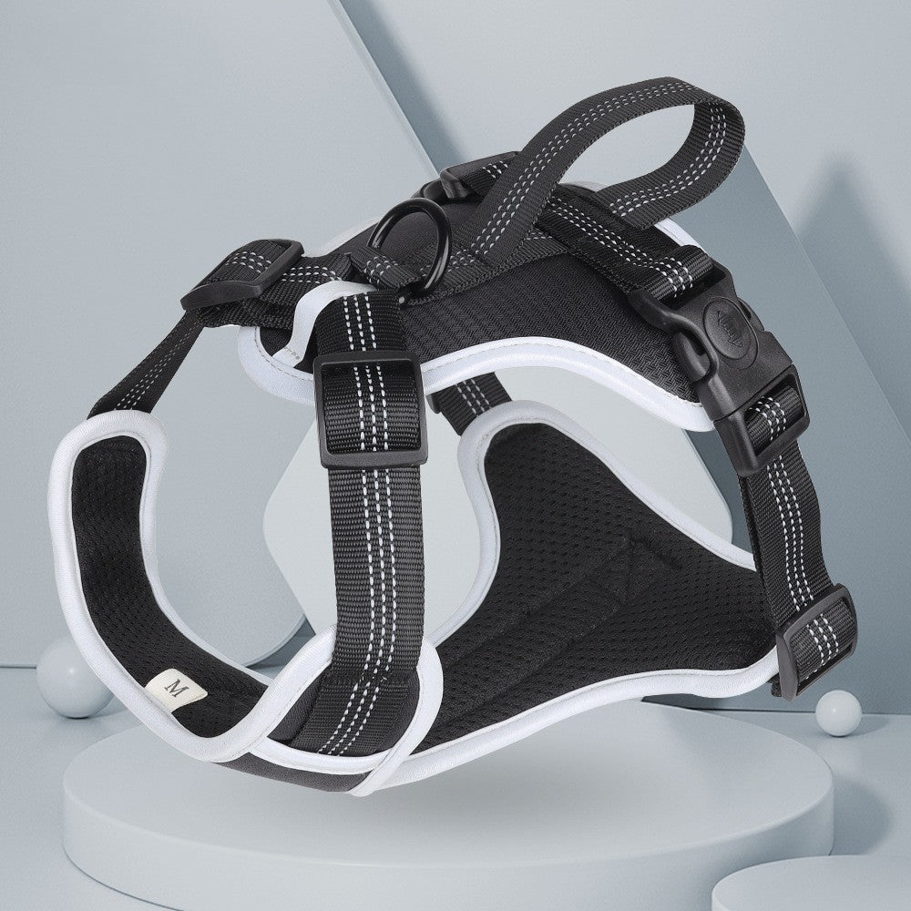 Strap Vest Dog Hand Holding Rope