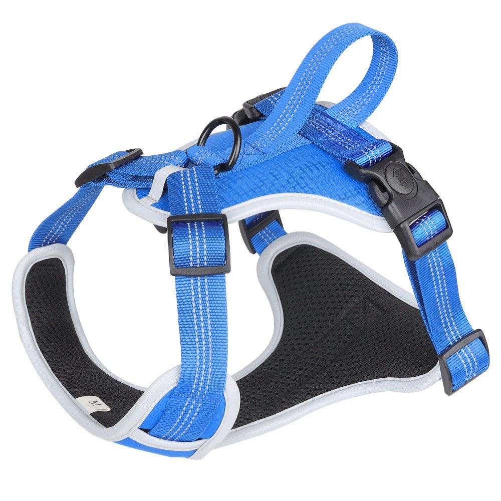 Strap Vest Dog Hand Holding Rope