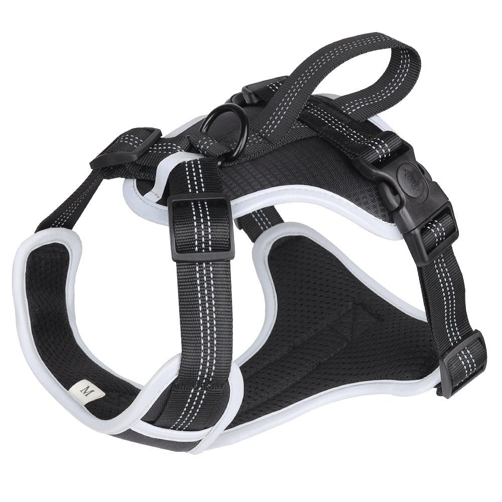 Strap Vest Dog Hand Holding Rope