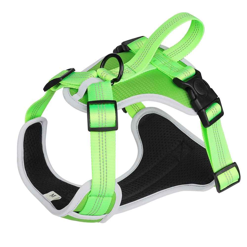 Strap Vest Dog Hand Holding Rope