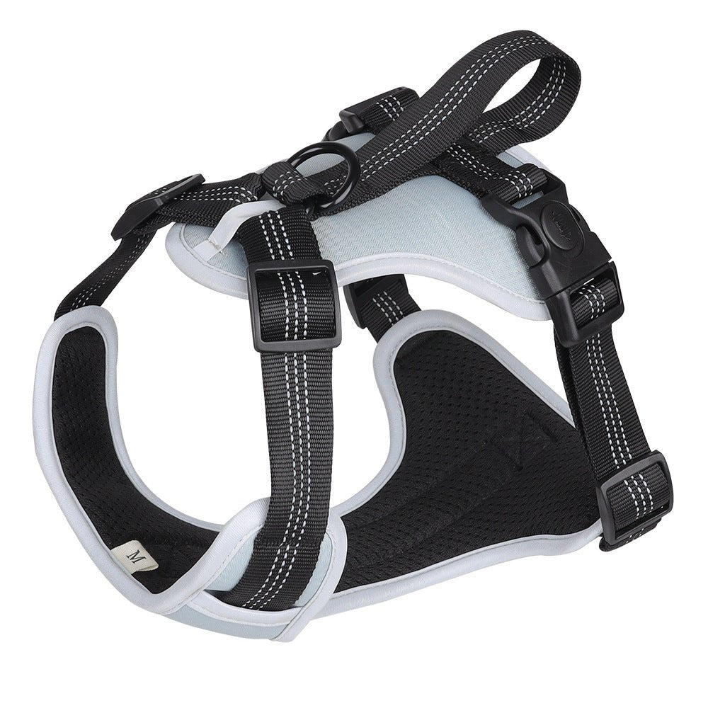 Strap Vest Dog Hand Holding Rope