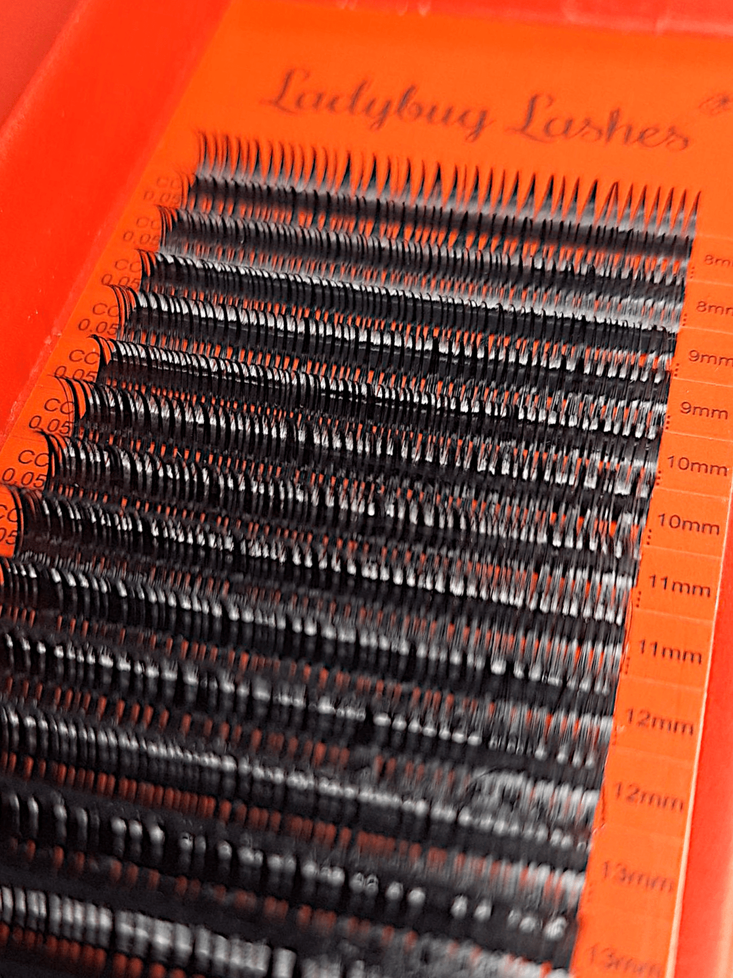 Wet Look Lash Mixed Tray