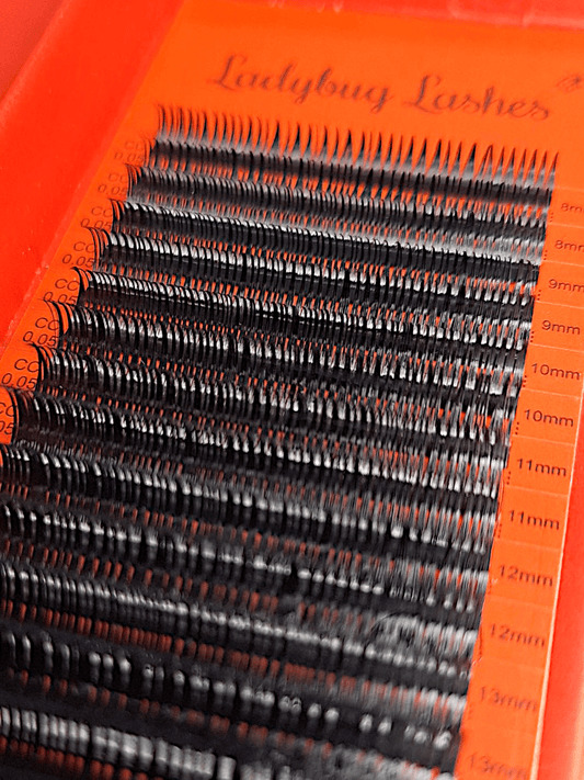 Wet Look Lash Mixed Tray