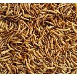 Supa Dried Mealworms