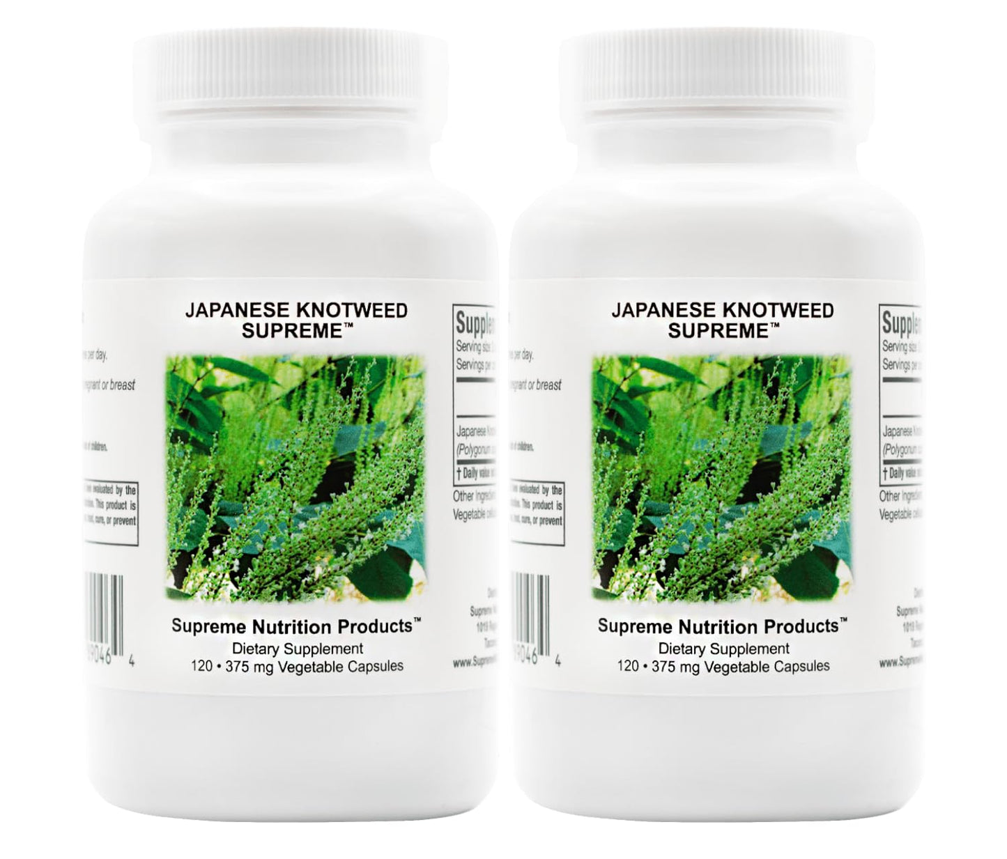 Supreme Nutrition Japanese Knotweed Supreme – 120 Pure Polygonum cuspidatum Vegetarian Capsules (2 Pack) | Lab-Tested & cGMP