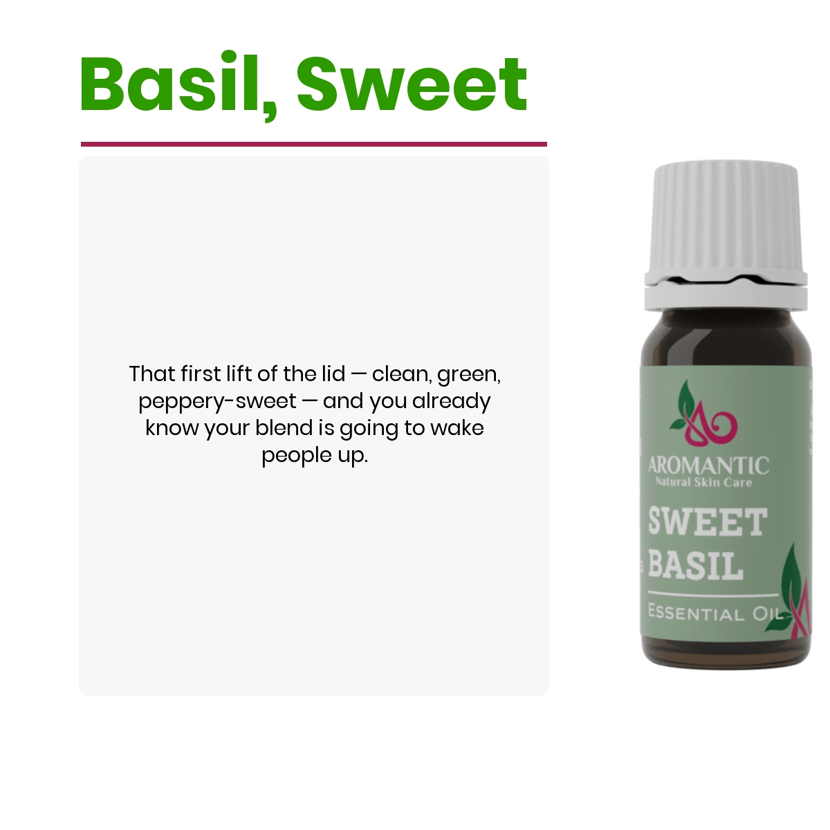 Sweet Basil Essential Oil