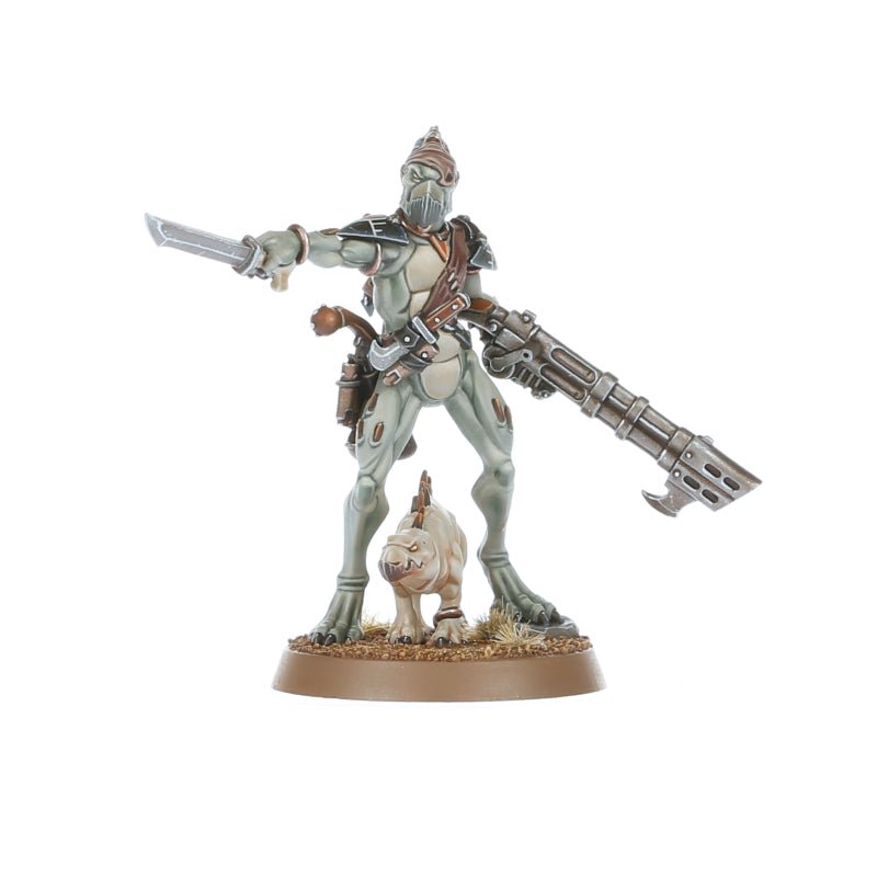 T'au Empire: Kroot Carnivore Squad