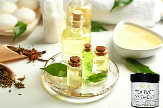 Tea Tree Cream 60ml Natures Powerful Antiseptic Antifungal Use + Free Oil 10ml
