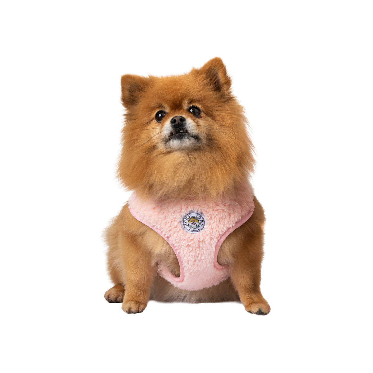 Blush Rose | Carnaby Harness