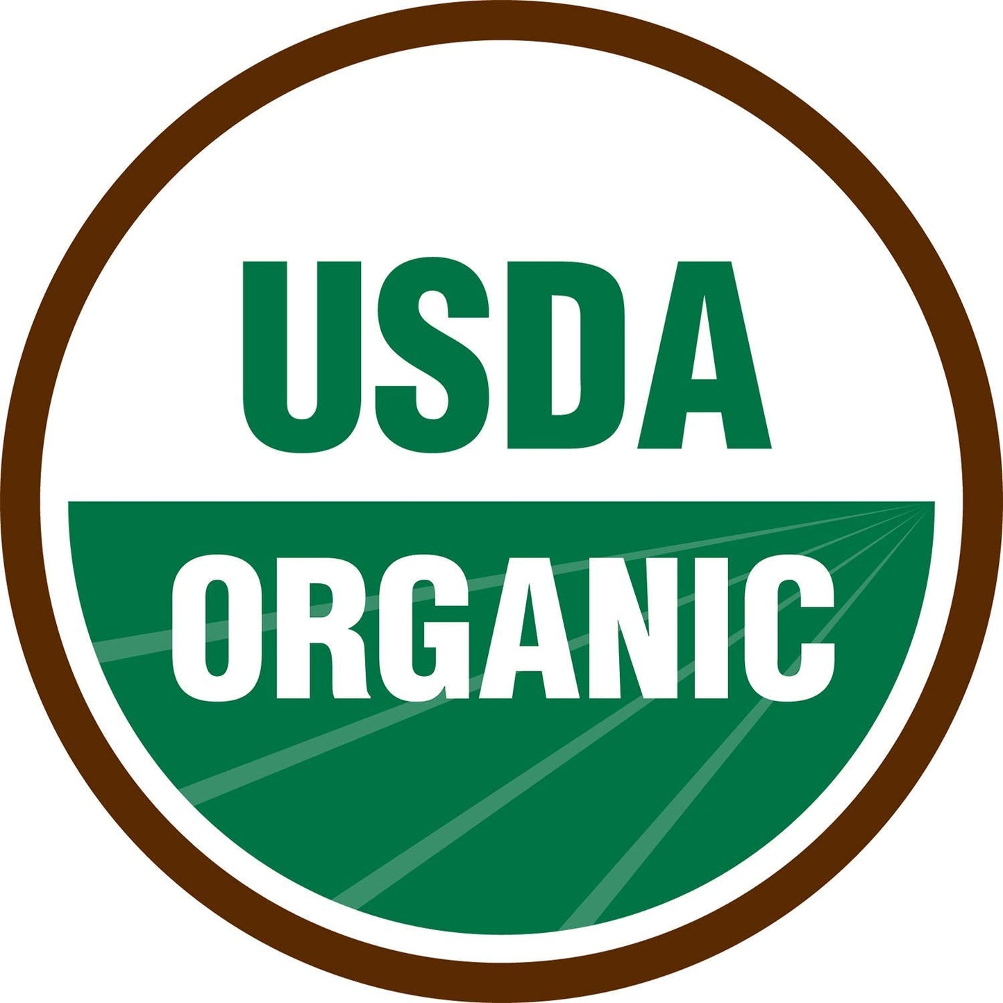 Terrasoul Organic Amla Berry Powder (Amalaki) – 2 Lbs, Vitamin C & Immunity Support