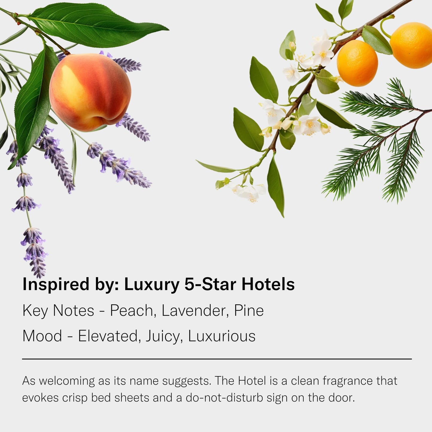 AromaTech The Hotel Essential Oil Blend — Luxury Hotel Inspired Aromatherapy for Ultrasonic Diffusers & Nebulizers (0.3 fl oz / 10 mL)