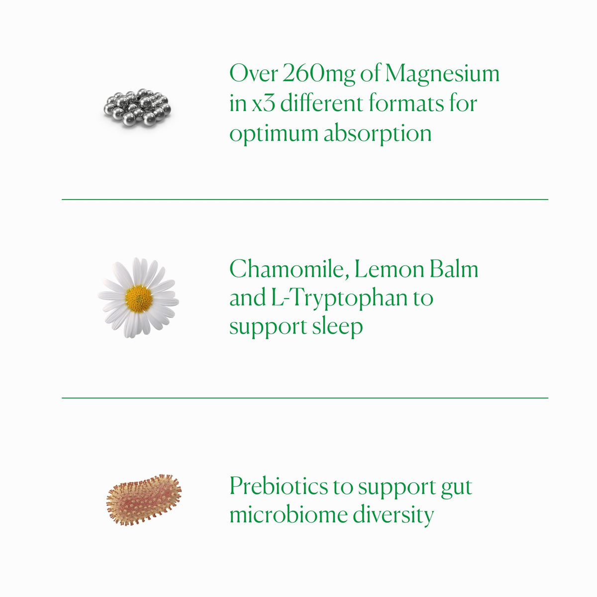 The Nue Co. Magnesium Gut Barrier+ | Sleep Tonic with Prebiotic, 200g