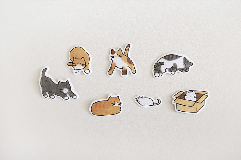 Suatelier | Cat!