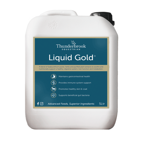 Thunderbrook Liquid Gold